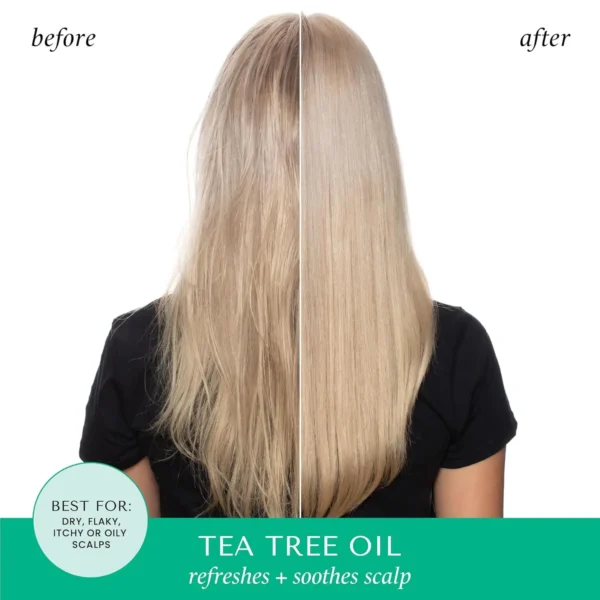 Hask Tea Tree Hair Mask - Sulphate Free