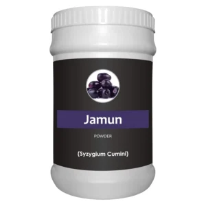 This is a 1kg package of Herb Essential pure Jamun powder made from Syzygium Cumini, following ayurvedic principles, and free from sugar, salt, preservatives, and gluten.