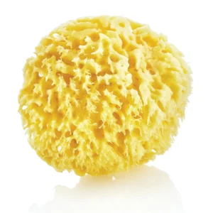 A soft, natural sea sponge perfect for gently cleansing delicate newborn skin during bath time, harvested from the Aegean Sea and suitable for sensitive skin.