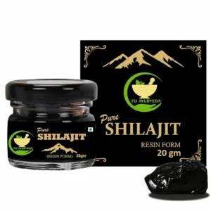This is a close-up of pure Shilajit resin, a blackish-brown substance used in Ayurvedic medicine to support strength, stamina, and energy levels.