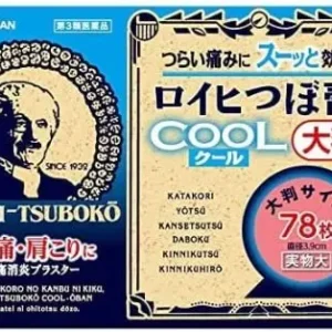 Close-up of Nichiban Roihi-tsuboko cool pain relief patches in a big size package, designed to target and soothe aches.