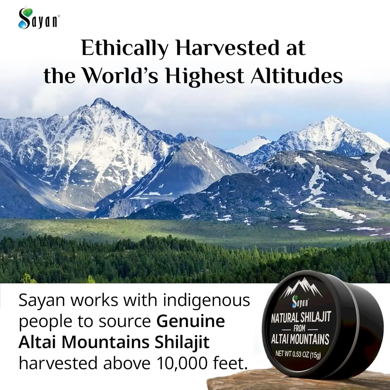 Sayan pure shilajit resin, harvested in the Altai Mountains, provides fulvic acid and trace minerals for immune support, energy, and detoxification, shown in a dark glass jar.