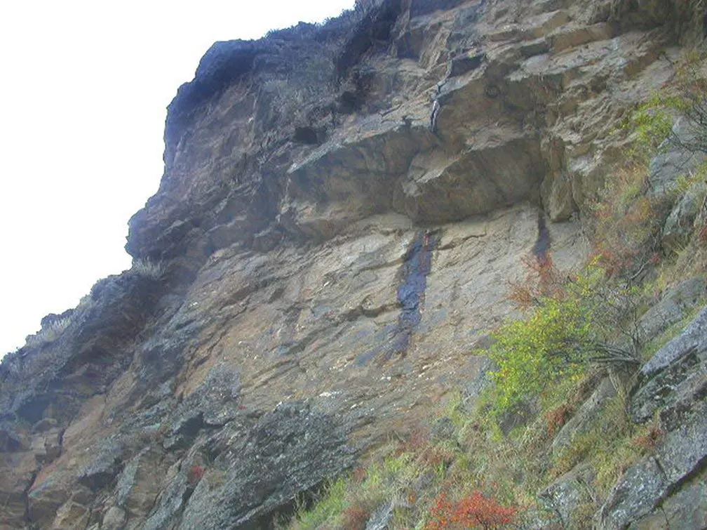 This image displays a bottle of Dragon Herbs High Mountain Shilajit capsules, a dietary supplement sourced from a Di Tao certified authentic location.