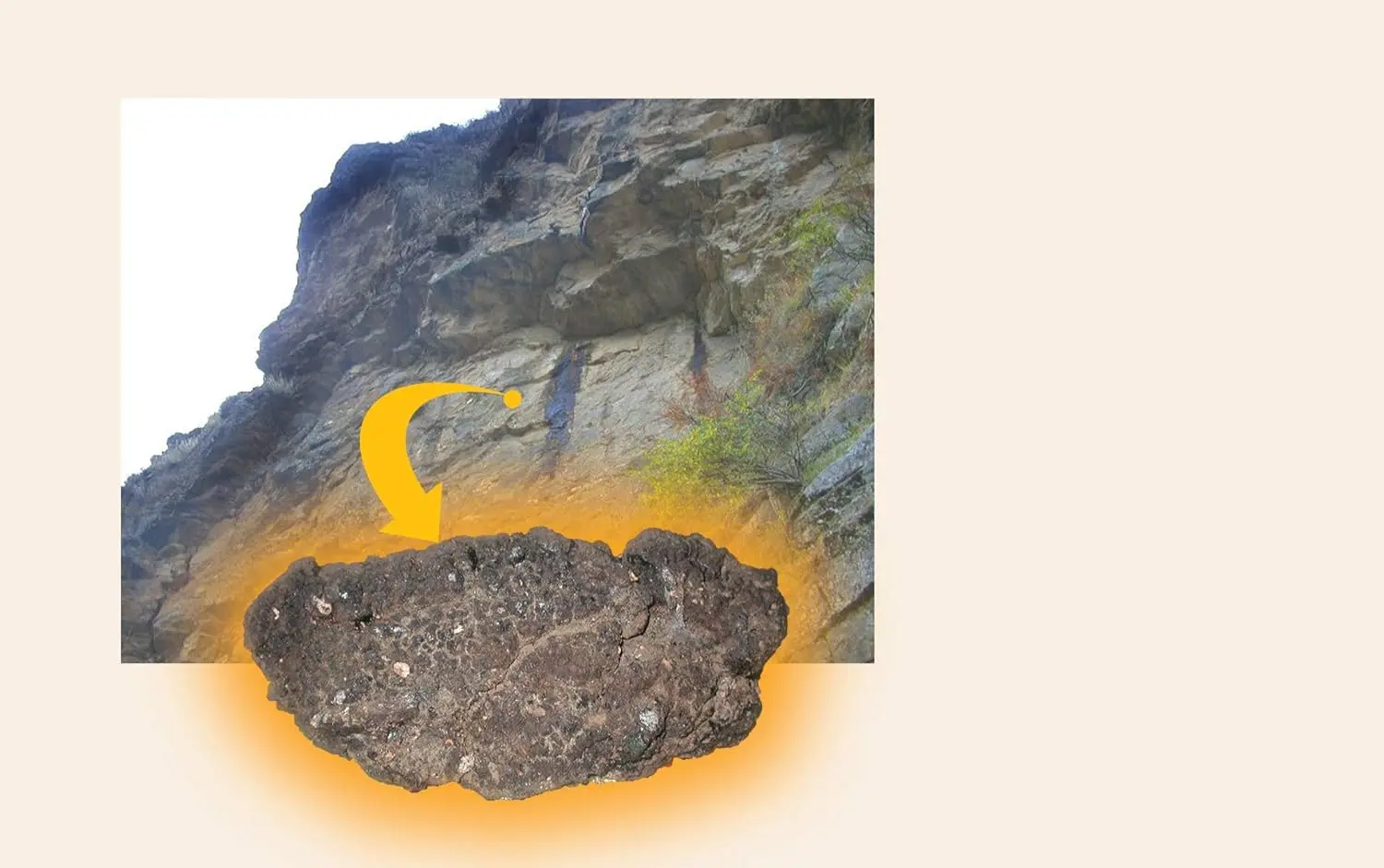 This image displays a bottle of Dragon Herbs High Mountain Shilajit capsules, a dietary supplement sourced from a Di Tao certified authentic location.