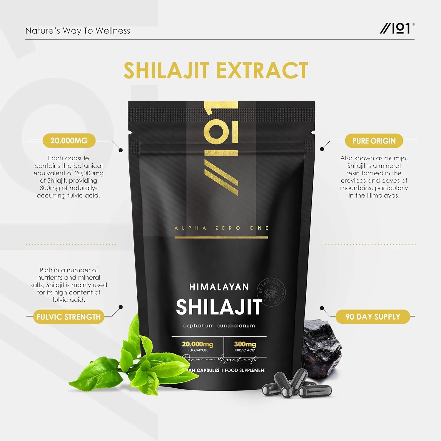 Alpha01 Shilajit extract capsules, providing 6000mg of Himalayan Shilajit resin with 180mg of naturally occurring fulvic acid per serving, are vegan, non-GMO, and come in a resealable pouch.