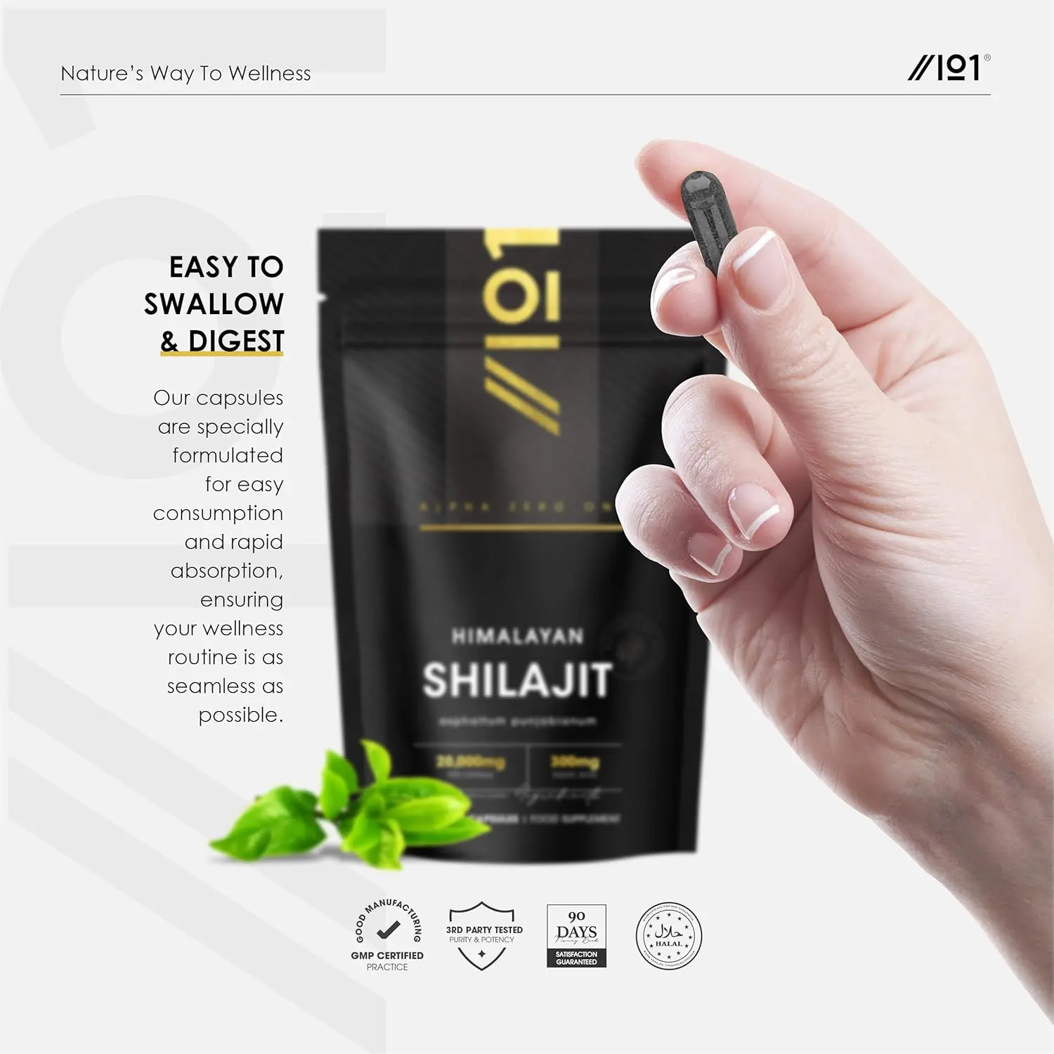 Alpha01 Shilajit extract capsules, providing 6000mg of Himalayan Shilajit resin with 180mg of naturally occurring fulvic acid per serving, are vegan, non-GMO, and come in a resealable pouch.