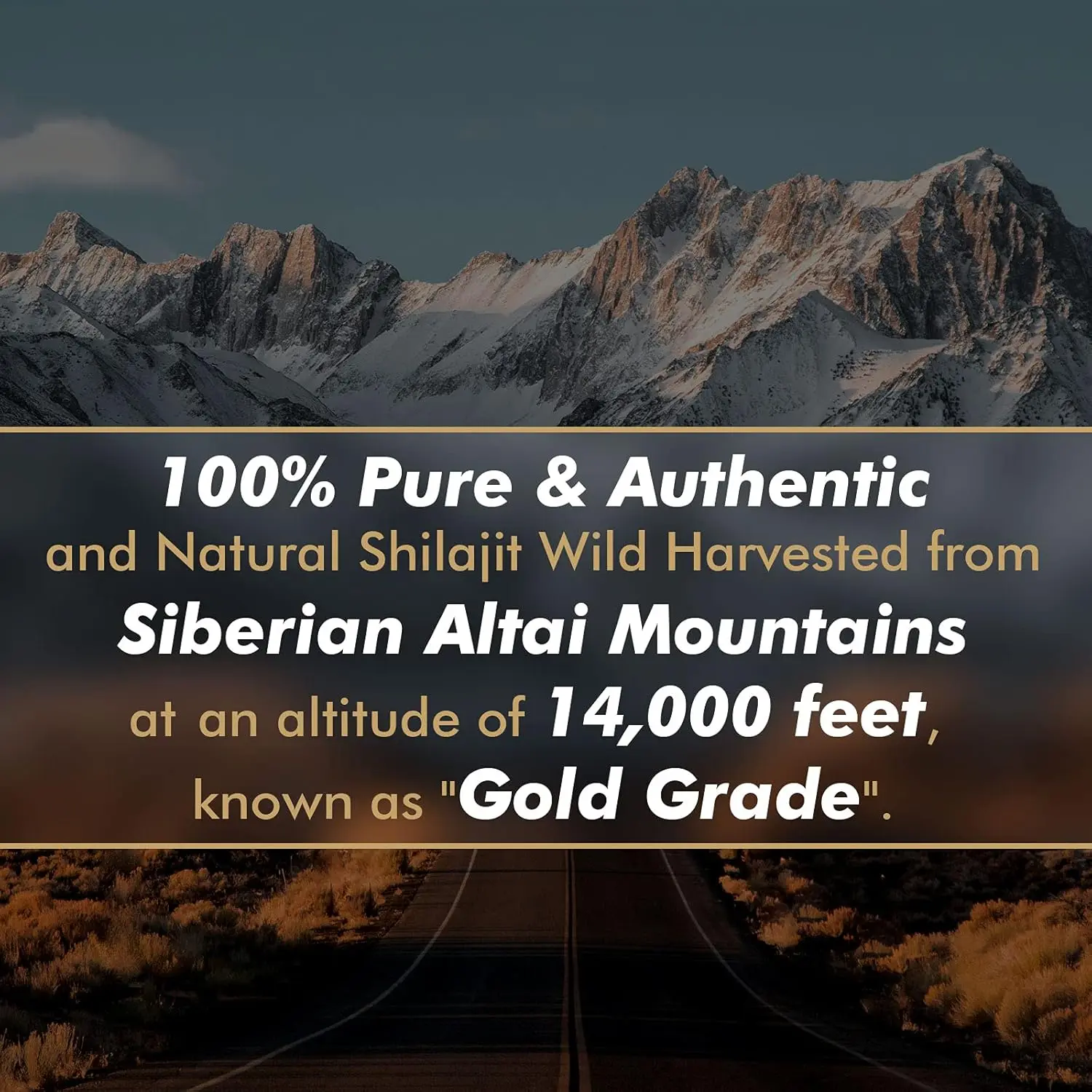 Authentic Siberian Shilajit resin rich in fulvic acid and over 85 trace minerals supports energy, immune function, and overall wellness.