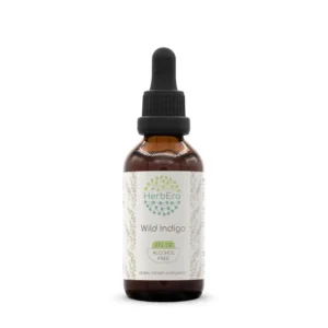 This is an image of HerbEra Wild Indigo Root Extract, a natural tincture made from wildcrafted Baptisia tinctoria dried root, carefully crafted and tested in the USA.